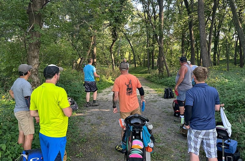 Sunlight filtering through tall forest trees