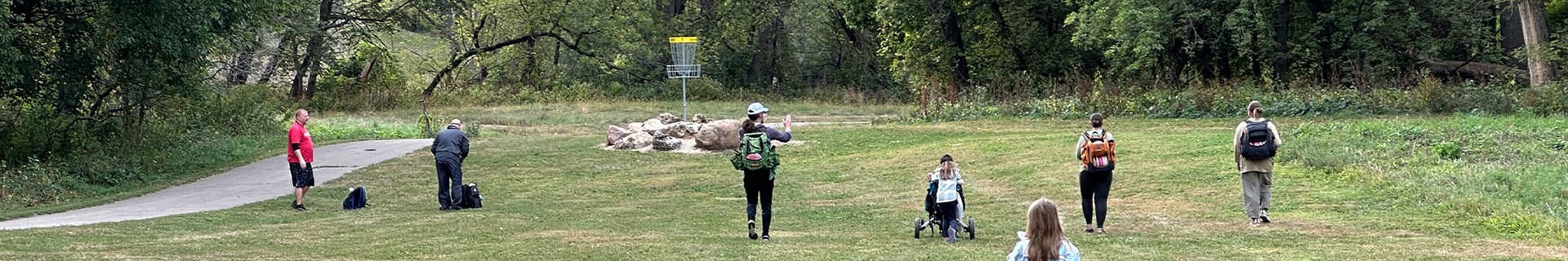 Misty evergreen forest