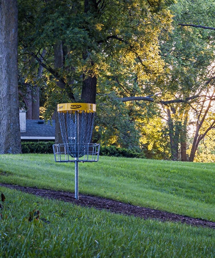 Disc golf basket #18 at Brookwood Park